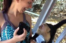 Guided Jungle Adventure with Gatun Lake Cruise