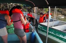 Guided Jungle Adventure with Gatun Lake Cruise