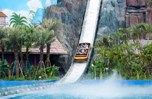 Kids Friendly Private Tour: Zoo Aquarium Safari or Amusement Park