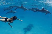 Private Boat To Dolphin House & Snorkeling with Lunch - Hurghada