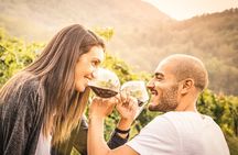 Napa and Sonoma-8-hr Private-Wine Tour from San Francisco XL SUV