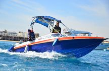 Swimming with Dolphins by Private Speed Boat - Hurghada