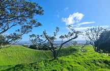 Auckland City Highlights Half Day Tour