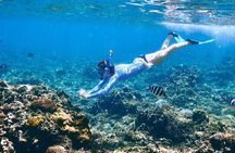 Tiran Island Trip, Snorkeling, Single Dive &Lunch–Sharm El Sheikh