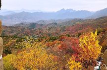 T-Square, Forbidden city and Mutianyu Great Wall Private Day Tour