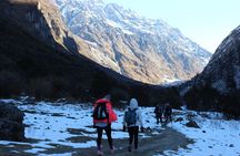10-Days Private Langtang Valley Trek in Nepal 