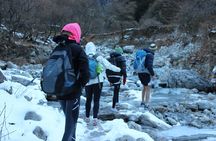 10-Days Private Langtang Valley Trek in Nepal 