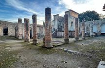 Pompeii and Vesuvius Cellars Tour with Lunch from Naples