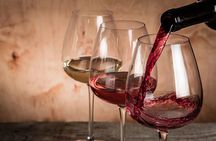 Pompeii Tour and Tasting at the Vesuvius Cellars from Ravello