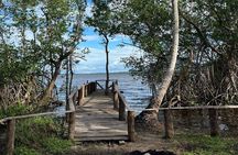 Horseback Riding - Experience between virgin beach and lagoon