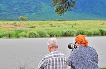4 Days Tanzania Safari Tour