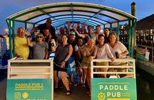 Clearwater Island Hop and Dolphin Watch with Swimming