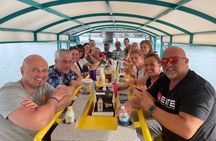 Clearwater Island Hop and Dolphin Watch with Swimming