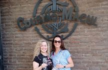  Cousiño Macul Vineyard - Maipo Valley - Premium Tasting - HD