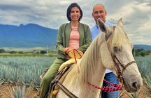 Premium Private Tequila Tour