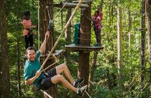 Aerial Obstacle Course - Full Course