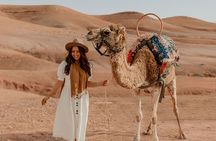 Agafay desert sunset camel ride Tour from Marrakech