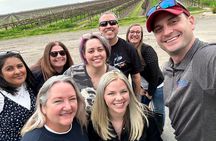 Clarksburg Wine Tasting Tour with Lunch near Sacramento
