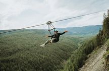 Superfly Ziplines on Cougar Mountain - includes 4 ziplines!