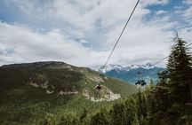Superfly Ziplines on Cougar Mountain - includes 4 ziplines!