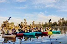 Private Kayak tour through the canals of Xochimilco