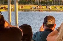 Sunset Wildlife Cruise along Assateague