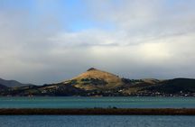 Heritage City and Larnach Castle Van tour with Historian Guide