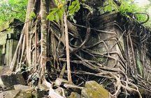 1 Day | Beng Mealea & Koh Ker Discovery