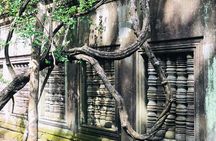 1 Day | Beng Mealea & Koh Ker Discovery