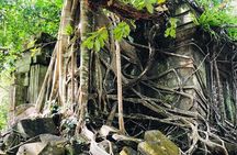 1-Day Angkor Wat Sunrise Tour & Temple Exploration | Cambodia 