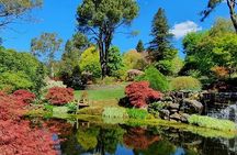 Blue Mountains Private Tour with Autumn Colors
