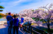 Deep Kyoto Tour in Private Van - guided by Local Expert