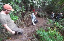 Ninh Binh: Cuc Phuong Natonal Park, Jungle Hike,Wildlife Day Trip