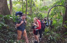 Ninh Binh: Cuc Phuong Natonal Park, Jungle Hike,Wildlife Day Trip
