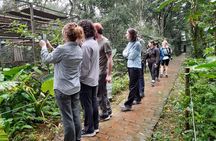 Ninh Binh: Cuc Phuong Natonal Park, Jungle Hike,Wildlife Day Trip