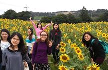 2 Days Private Taxi Tour - West and South of Jeju Island