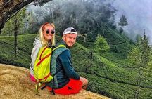 8 Nights In Amazing Sri Lanka