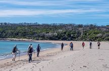 Light to Light Walking and Kayaking Tour, 3 nights