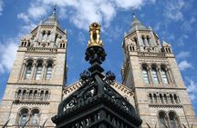 Kid-friendly London Natural History Museum Private Guided Tour 