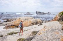 The Mountain to Sea Adventure