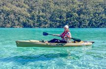 Pambula River Kayaking Tour