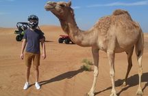 4 Hours Morning Desert Safari in Dubai