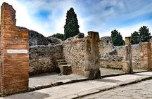  private and Guided Tour to Pompeii from Positano