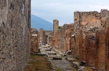  private and Guided Tour to Pompeii from Positano