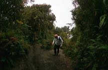 Tungurahua Volcano Refuge, Full Day.