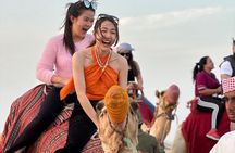 Evening Desert Safari with BBQ Dinner and Live Shows at Bedouin Camp