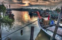 Evening Firefly Boat Tour –Discover Malaysia’s Natural Light Show
