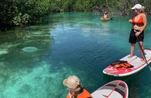 Paddleboard Kayak Tour in Cancun