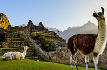 Machu Picchu Tour in 2 Days and 1 Night - Visit with Private Guide