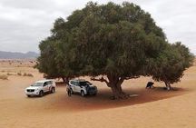 Agadir Sahara Day Trip with Lunch